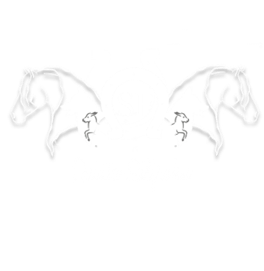 Quinta Silfrohn Logo